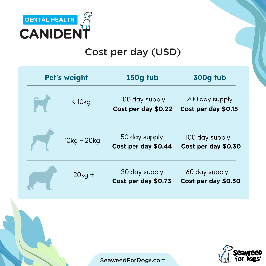 Canident - Clean Dogs Teeth