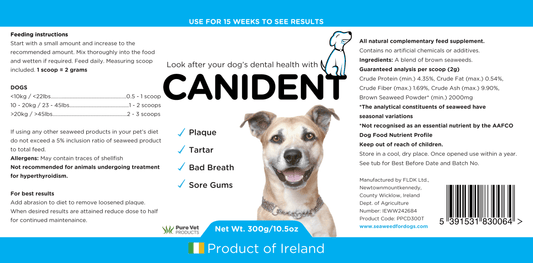 Canident - Clean Dogs Teeth