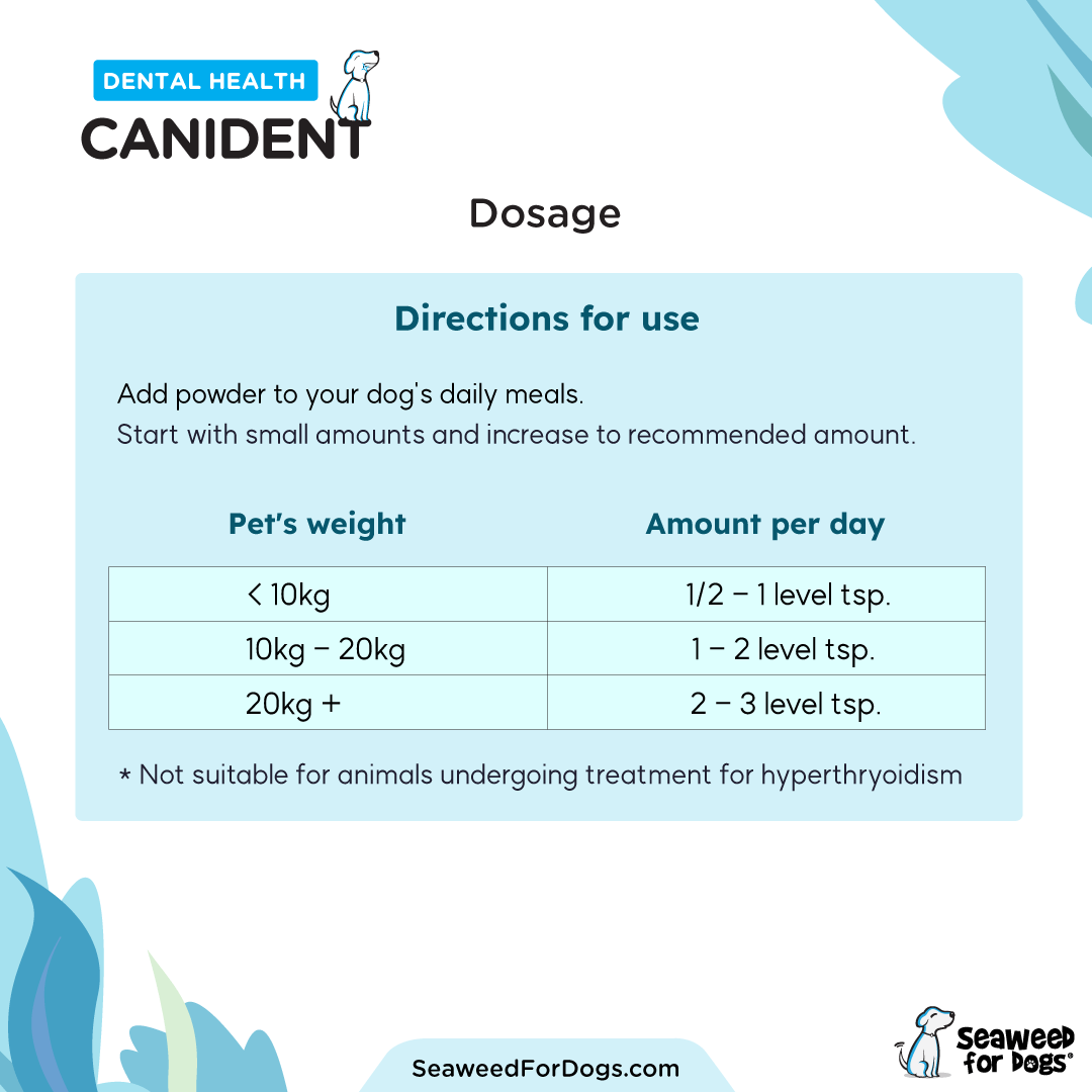 Canident - Clean Dogs Teeth